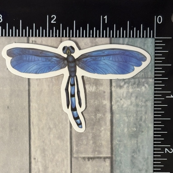 ๐10/$10๐ Dragonfly Reusable Waterproof Sticker Decal - Picture 1 of 1